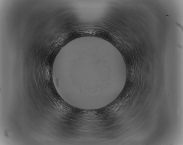 X0000095121394200801041213