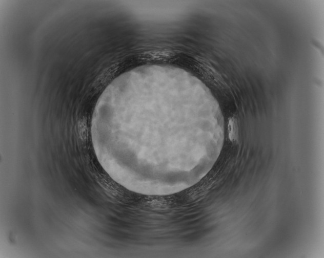 X0000095121395200801041213