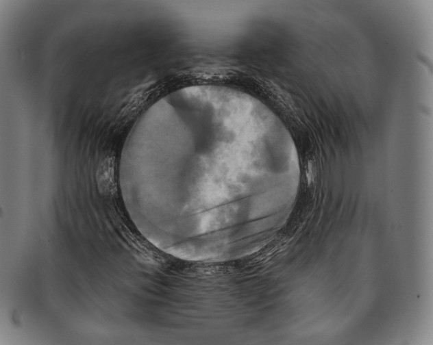 X0000095121396200801041213