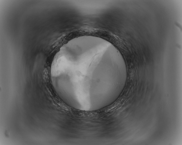 X0000095121397200801041213