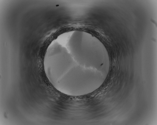 X0000095121398200801041213