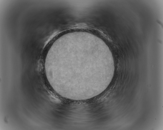 X0000095121400200801041213