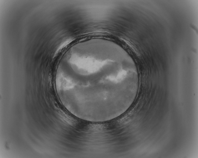 X0000095121402200801041213