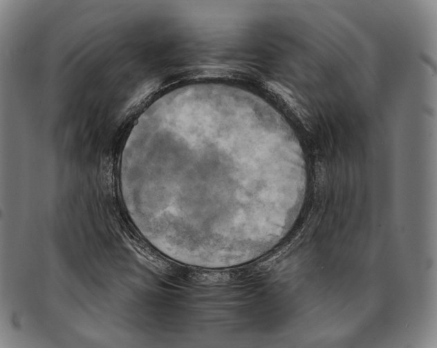 X0000095121403200801041213