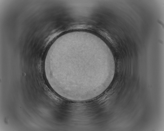 X0000095121404200801041213