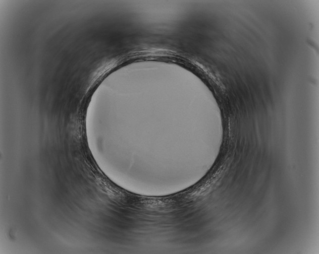 X0000095121405200801041213