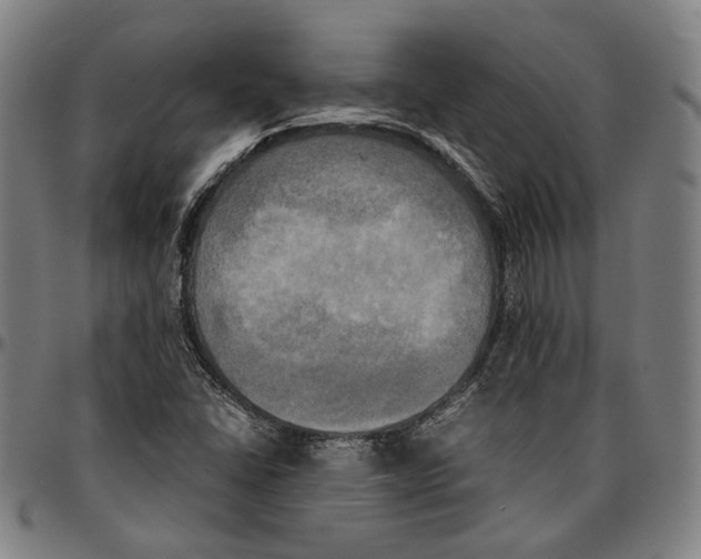 X0000095121406200801041213