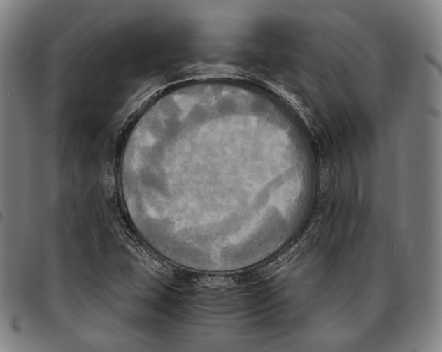 X0000095121407200801041213