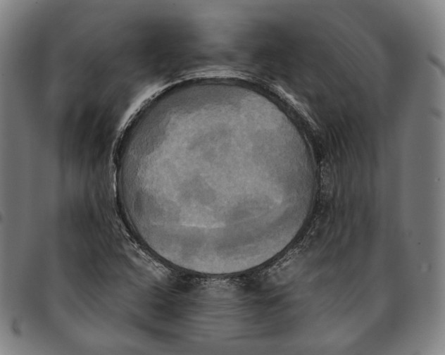 X0000095121408200801041213