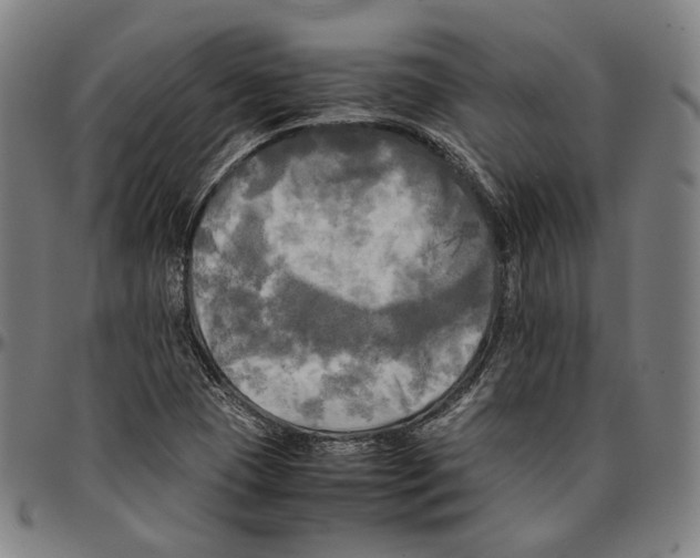 X0000095121409200801041213