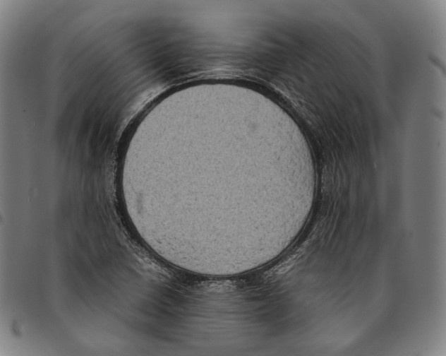 X0000095121410200801041213