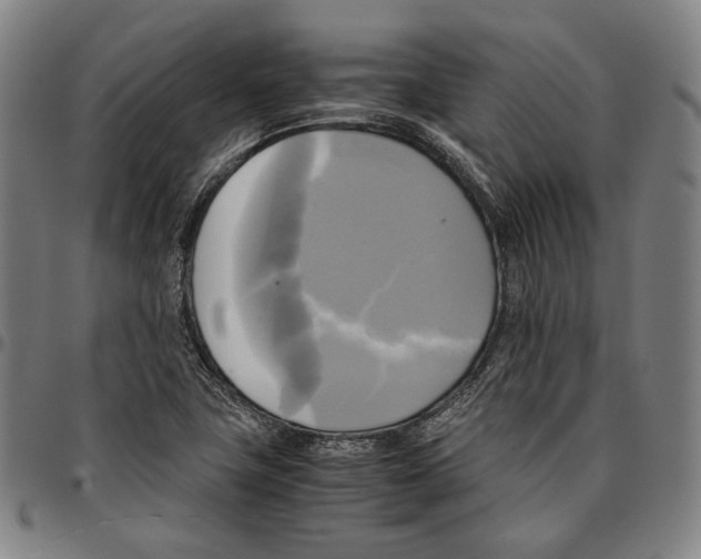 X0000095121411200801041213