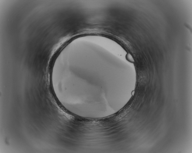 X0000095121414200801041213