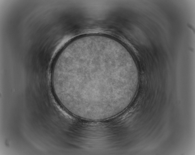 X0000095121416200801041213