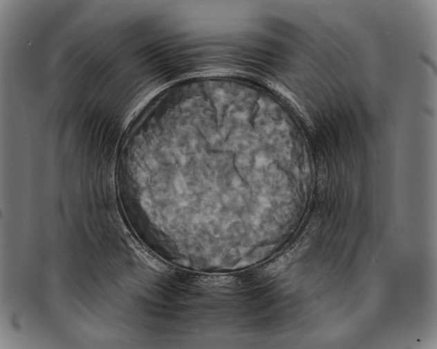 X0000095121417200801041213