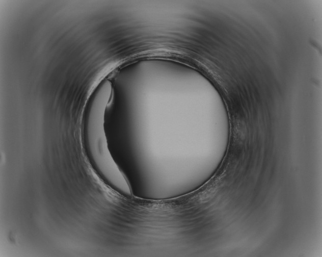 X0000095121418200801041213