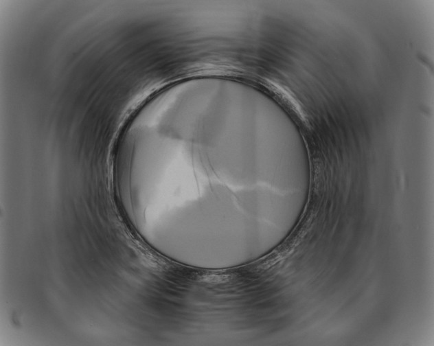 X0000095121419200801041213