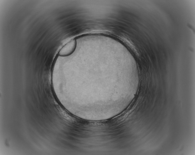 X0000095121420200801041213