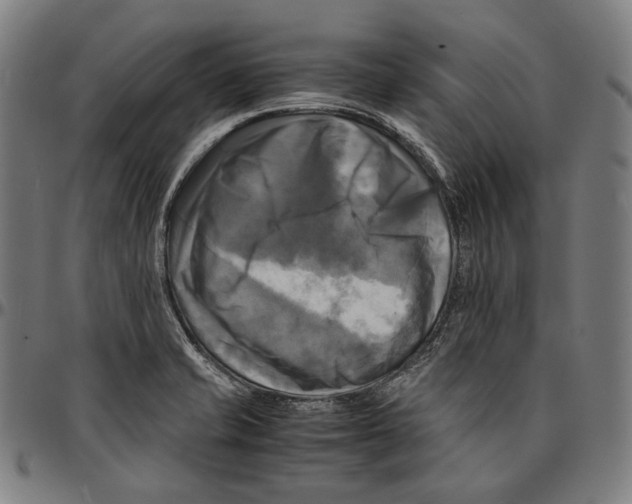 X0000095121421200801041213