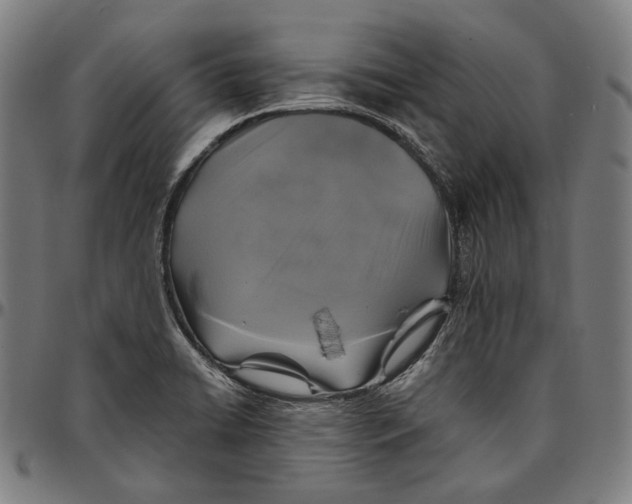 X0000095121422200801041213