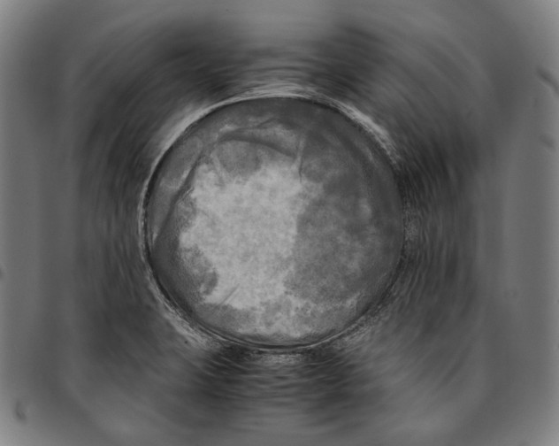 X0000095121423200801041213