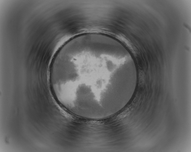 X0000095121424200801041213