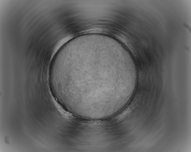 X0000095121426200801041213