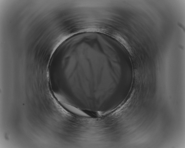 X0000095121428200801041213