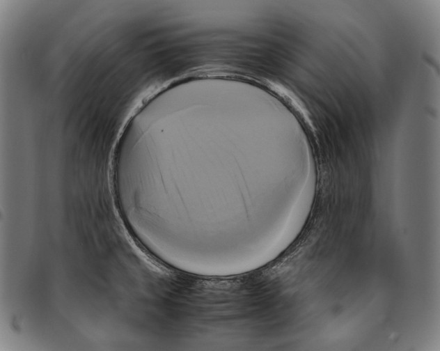 X0000095121429200801041213