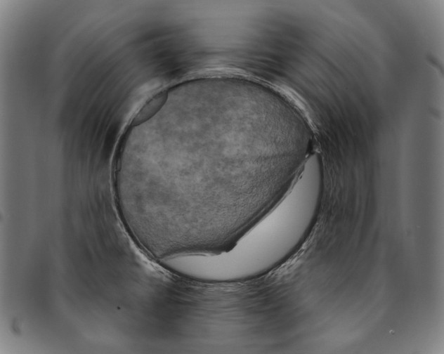 X0000095121430200801041213