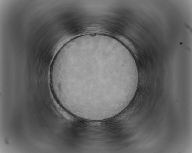 X0000095121431200801041213