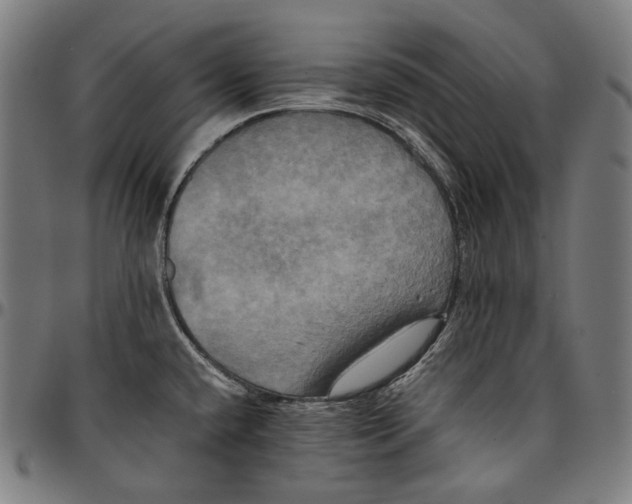 X0000095121432200801041213