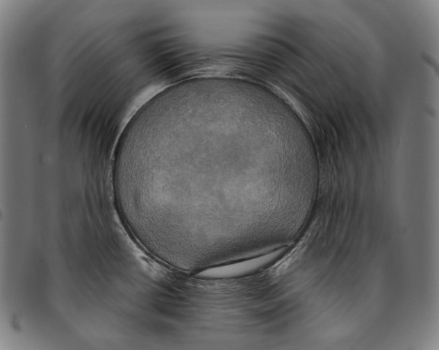 X0000095121434200801041213