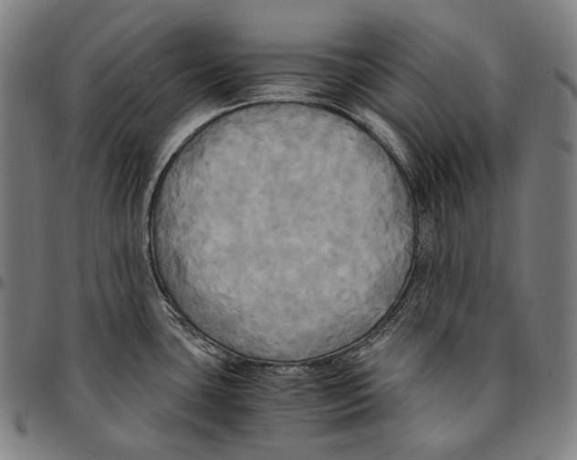 X0000095121435200801041213