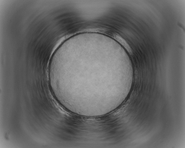 X0000095121436200801041213