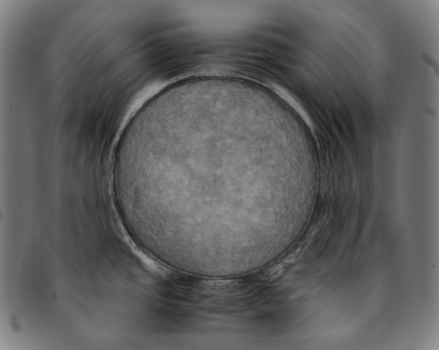 X0000095121437200801041213