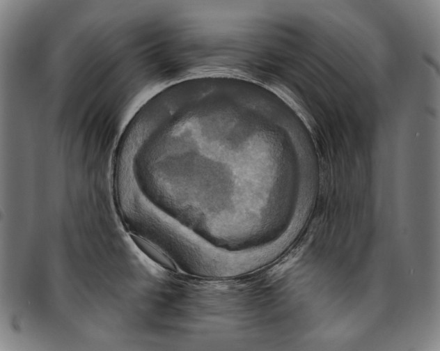 X0000095121438200801041213