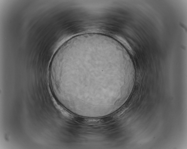 X0000095121439200801041213