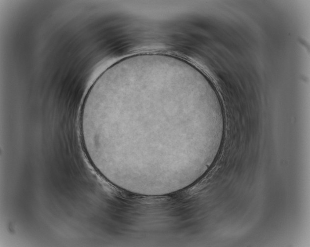 X0000095121440200801041213