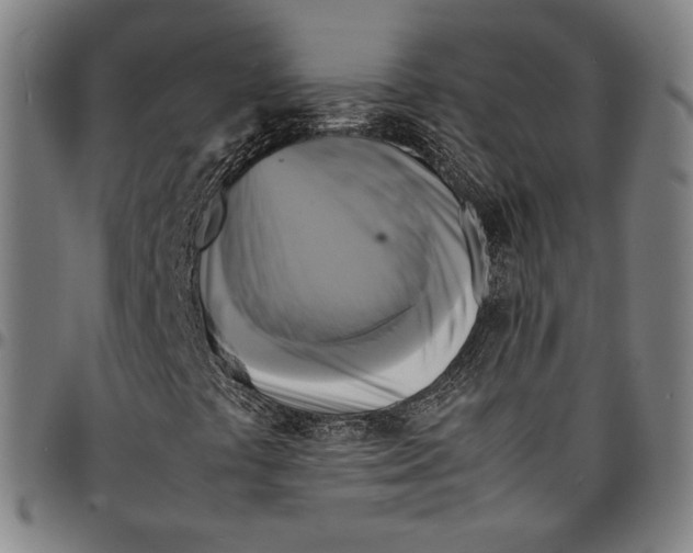 X0000095121441200801041212