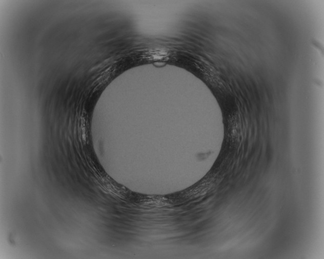 X0000095121442200801041212