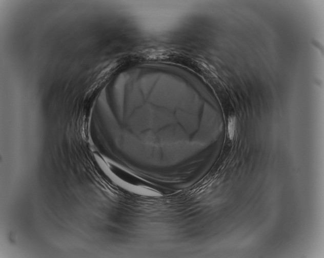 X0000095121444200801041212