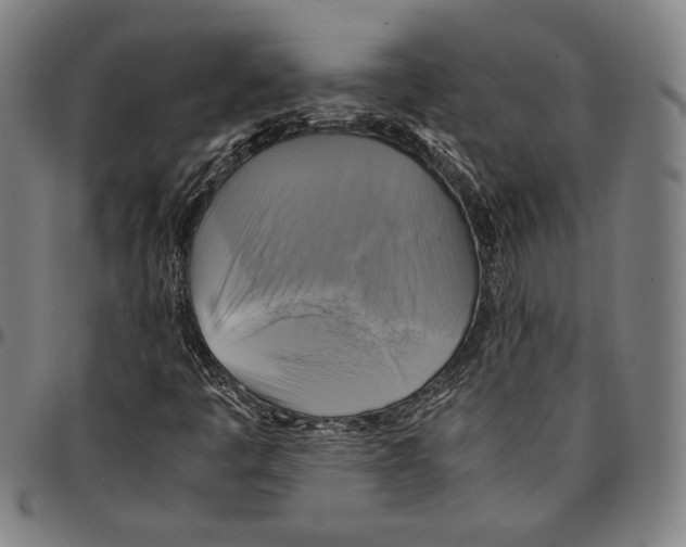 X0000095121445200801041212