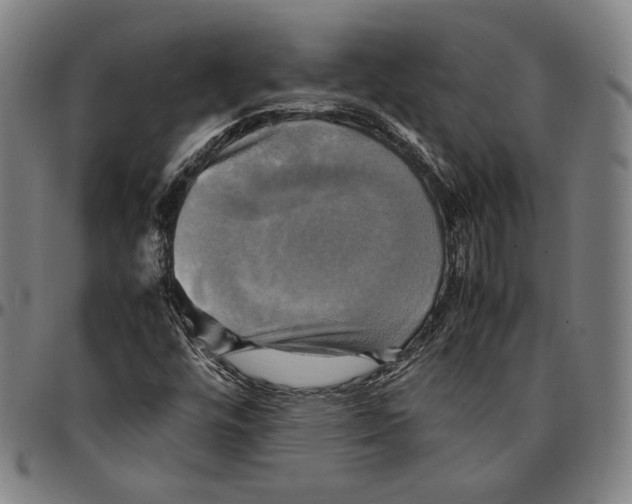 X0000095121448200801041212