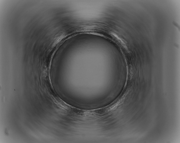 X0000095121449200801041212