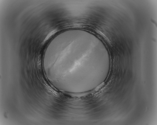 X0000095121450200801041212