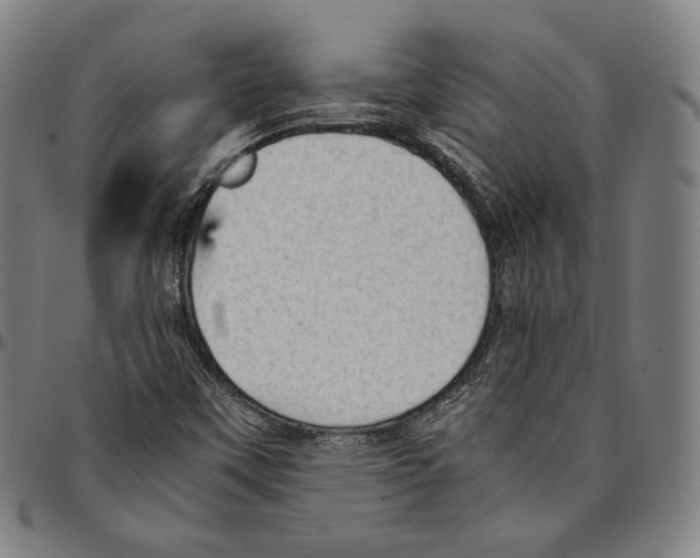 X0000095121451200801041212