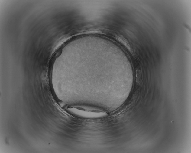 X0000095121452200801041212