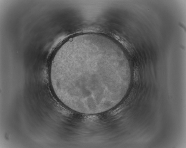 X0000095121454200801041212