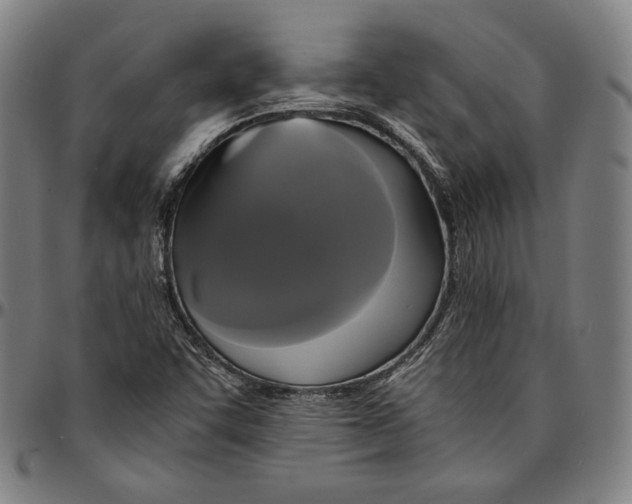 X0000095121455200801041212